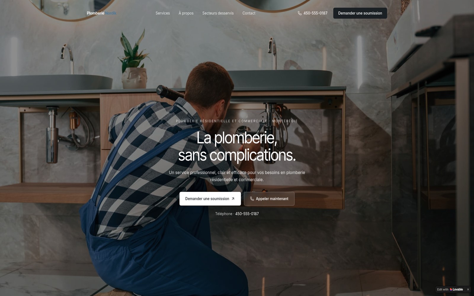 Aperçu du site web Nordik Flow